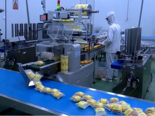 英吉沙食品企业冲刺新年开门红 全力保障食品生产供应