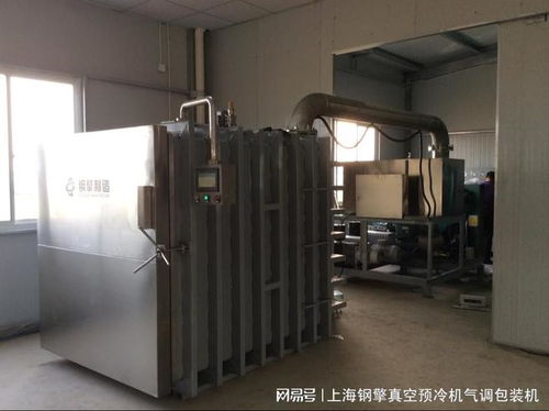 高效保鲜，品质为先——食品生产中主流真空预冷机品牌解析