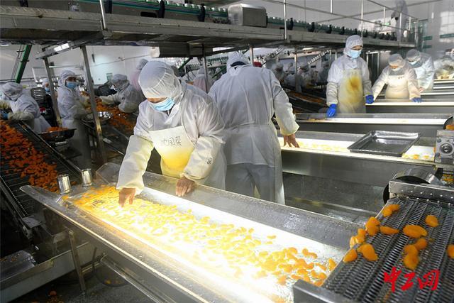 湖北宜昌 柑橘加工企业生产忙 推动食品产业升级